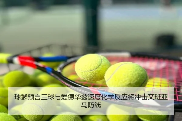 球爹预言三球与爱德华兹速度化学反应将冲击文班亚马防线